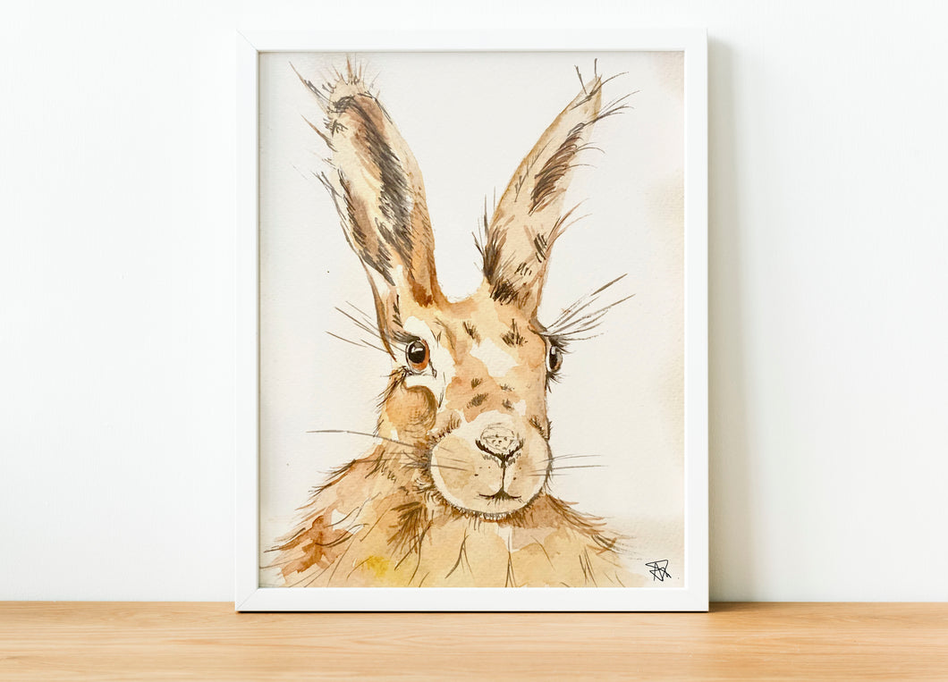 Hare